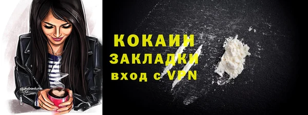 крисы Бородино