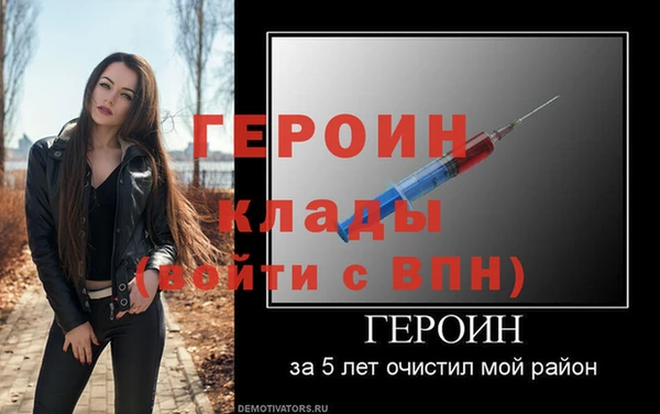крисы Бородино