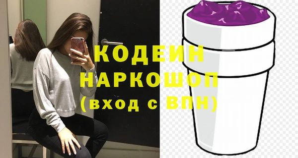 крисы Бородино