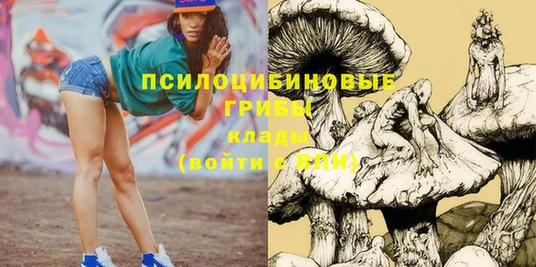 прущая мука Бронницы
