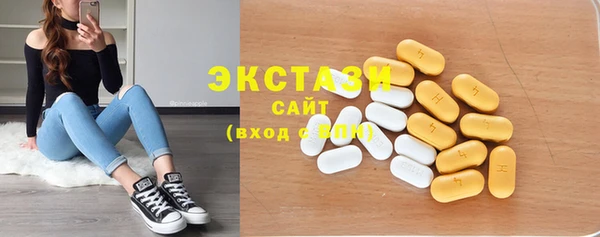 крисы Бородино
