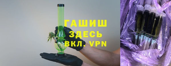 крисы Бородино