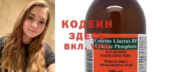 крисы Бородино