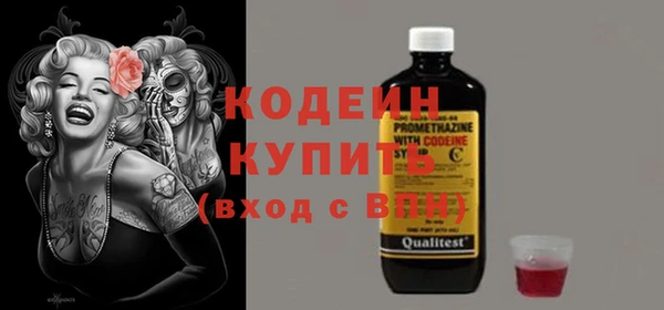крисы Бородино