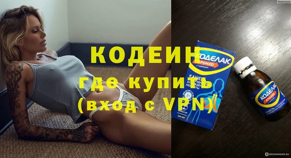 крисы Бородино