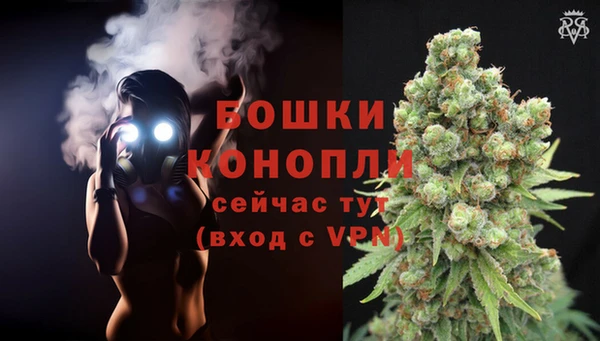 крисы Бородино